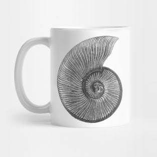 Ammonite Fossil Mug